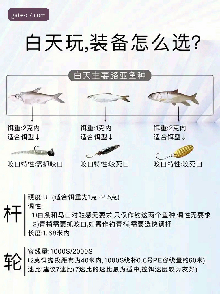 c7娱乐官网安全通道攻略 深度揭秘C7娱乐官网安全通道攻略:如何避开钓鱼陷阱,找到真正入口